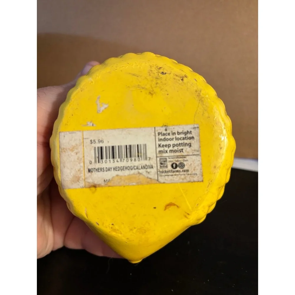 Vintage Rocket Farms Yellow Hedgehog Ceramic Mini Planter Succulent Pot Blue...